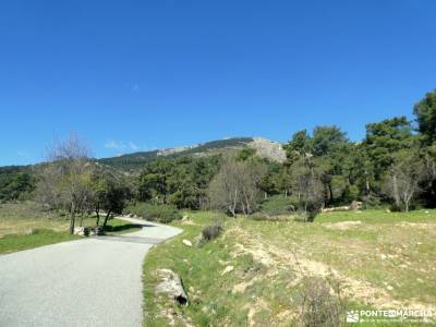 Pinar de Abantos y Zona de la Herrería del Real Sitio de San Lorenzo de El Escorial;fotos de gredos 